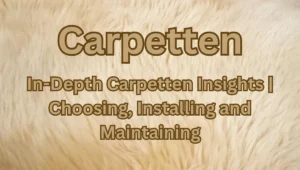 In-Depth Carpetten Insights | Choosing, Installing and Maintaining