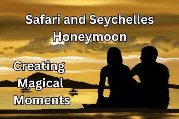 safari and seychelles honeymoon