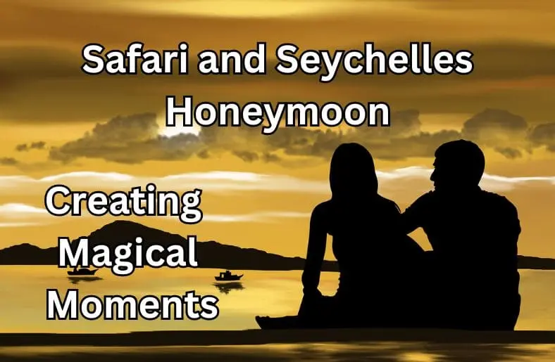 safari and seychelles honeymoon