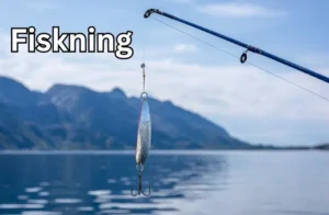 Fiskning Insights | Tools, Culture, Sustainability