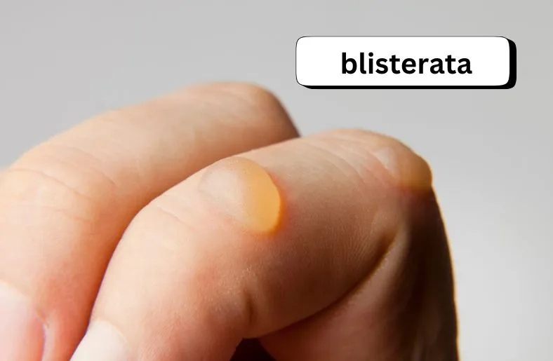 Blisterata Unveiled | Origins, Effects, Solutions