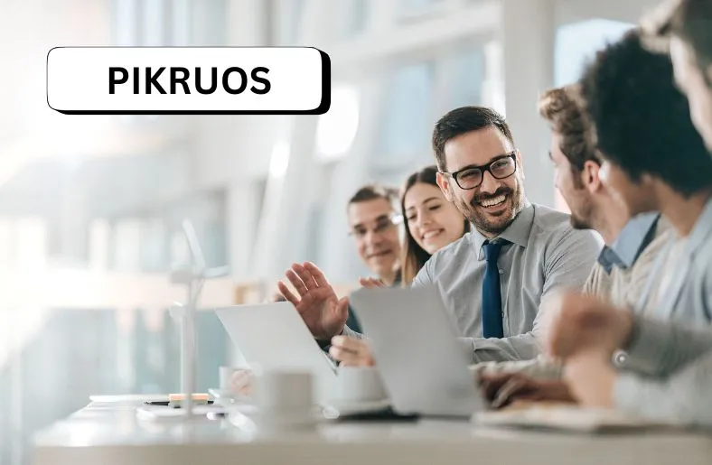 PIKRUOS Insight | Navigating Business Evolution