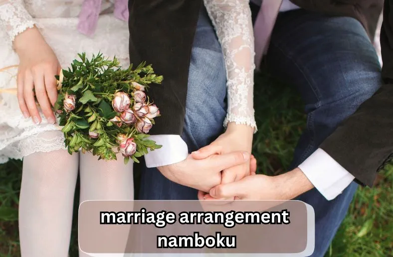 Marriage Arrangement Namboku in Modern Japan
